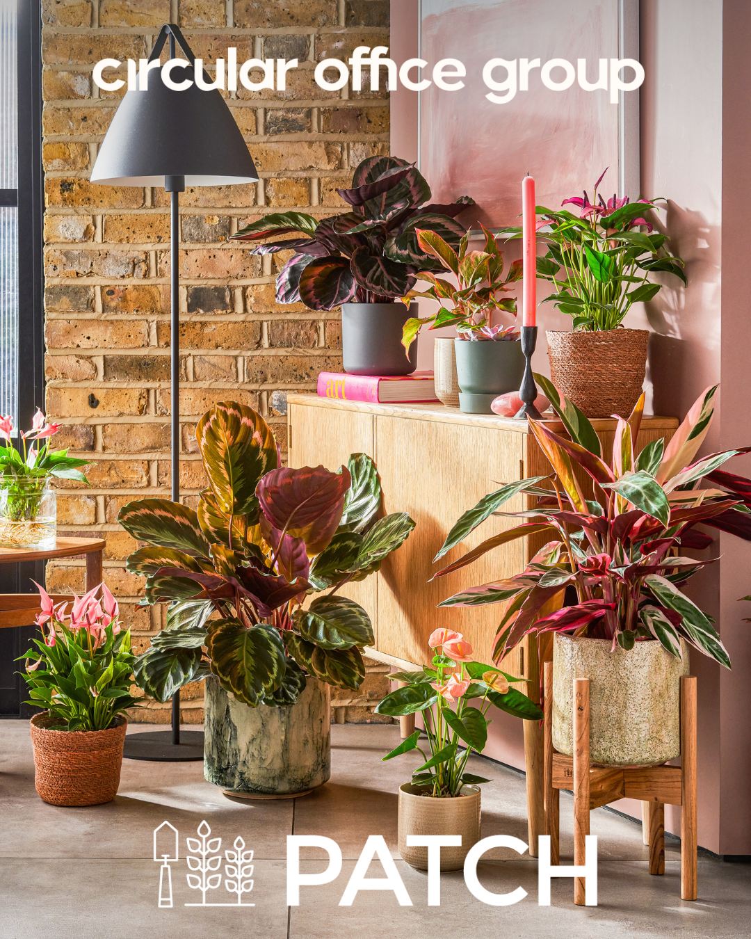 NEW UPDATE: Green your workspace with Patch Plants 🌱📢📢
