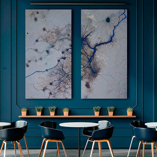 Ezobord - Canvas (Walls)