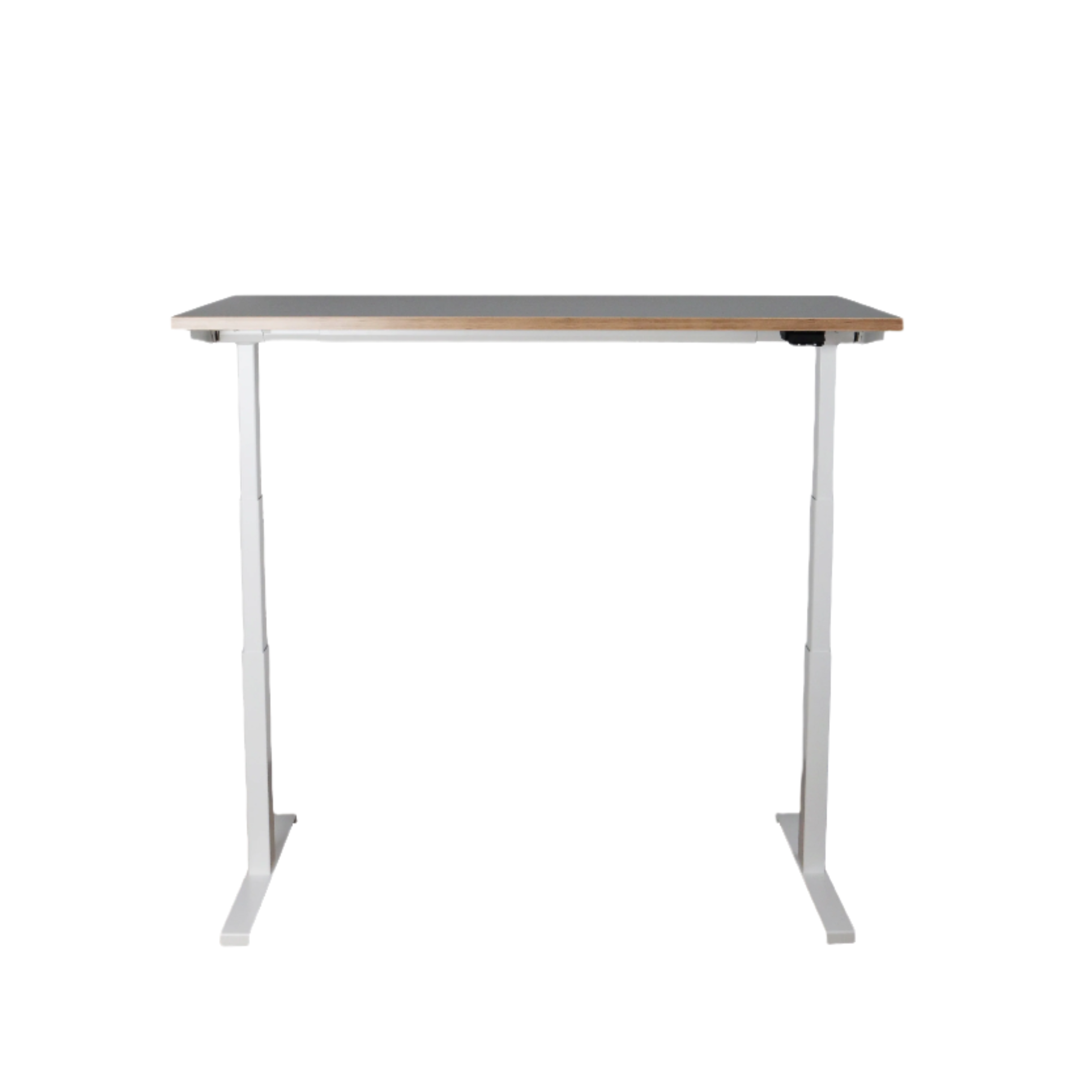 Circular Office Group - Height Adjustable Desk
