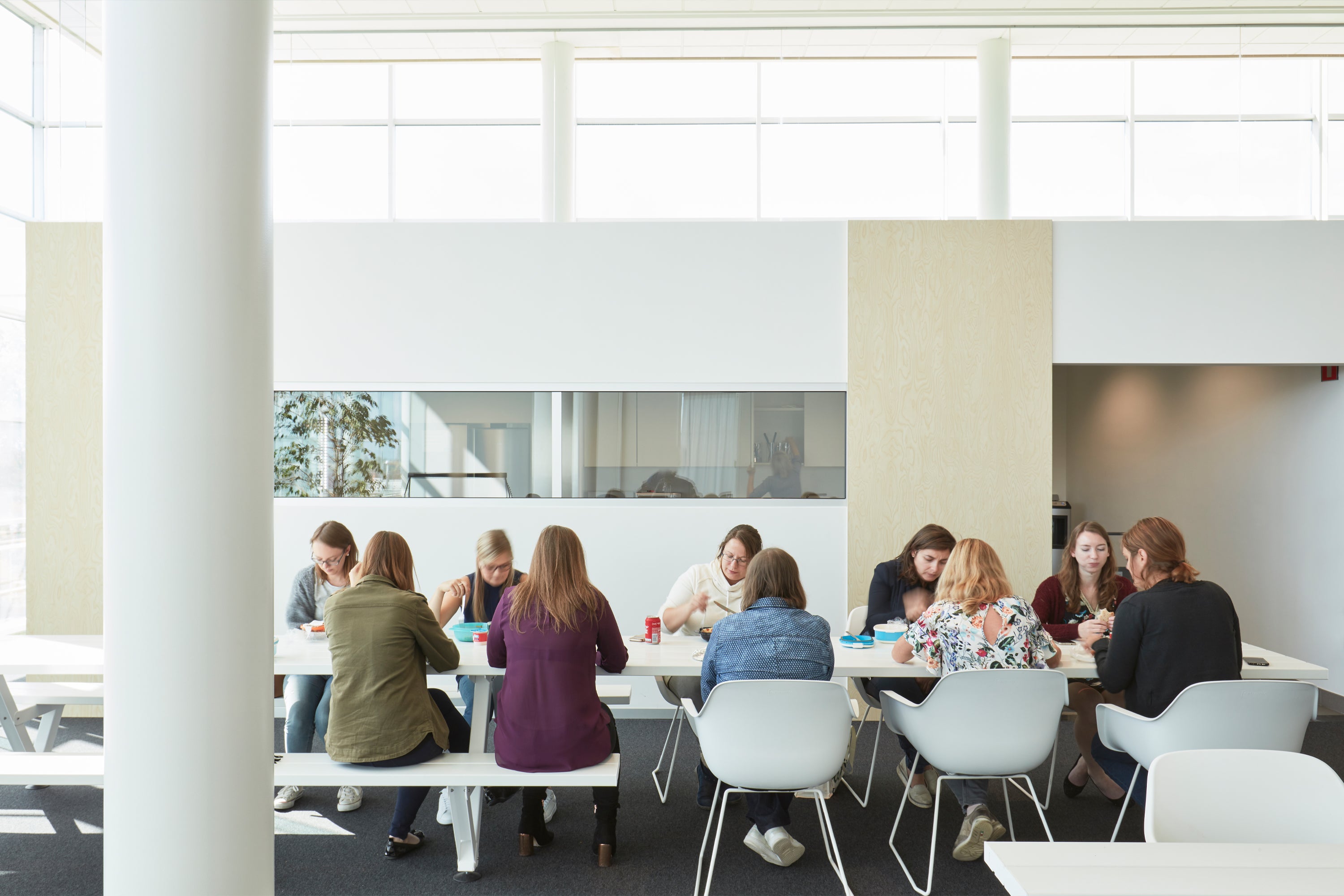 Extremis - Captain's Chair Collections