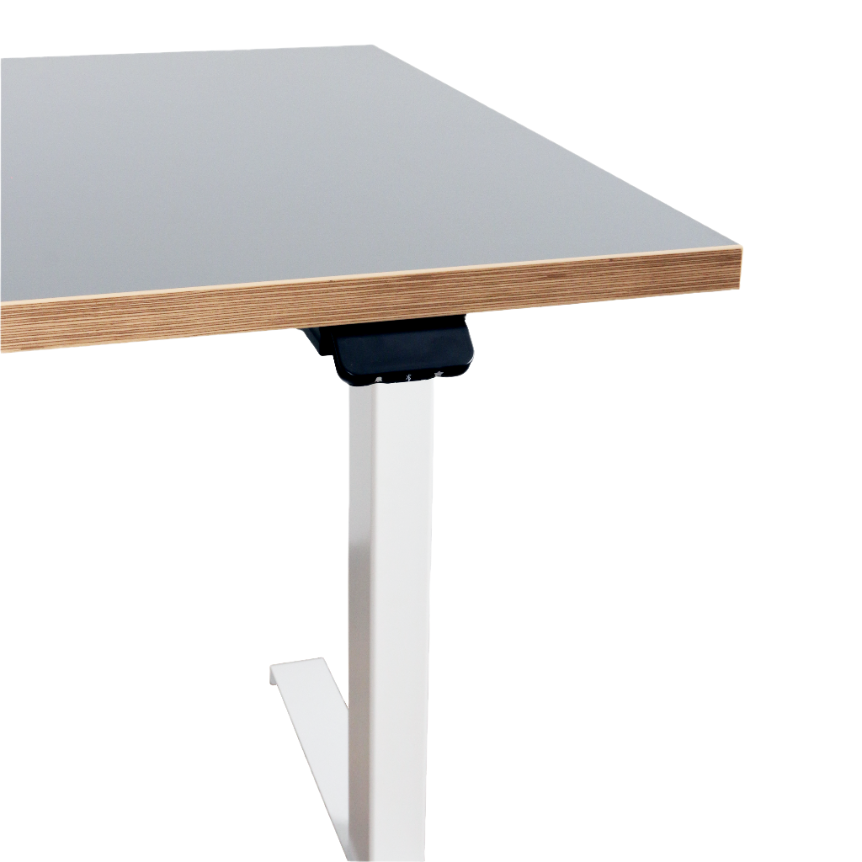 Circular Office Group - Height Adjustable Desk