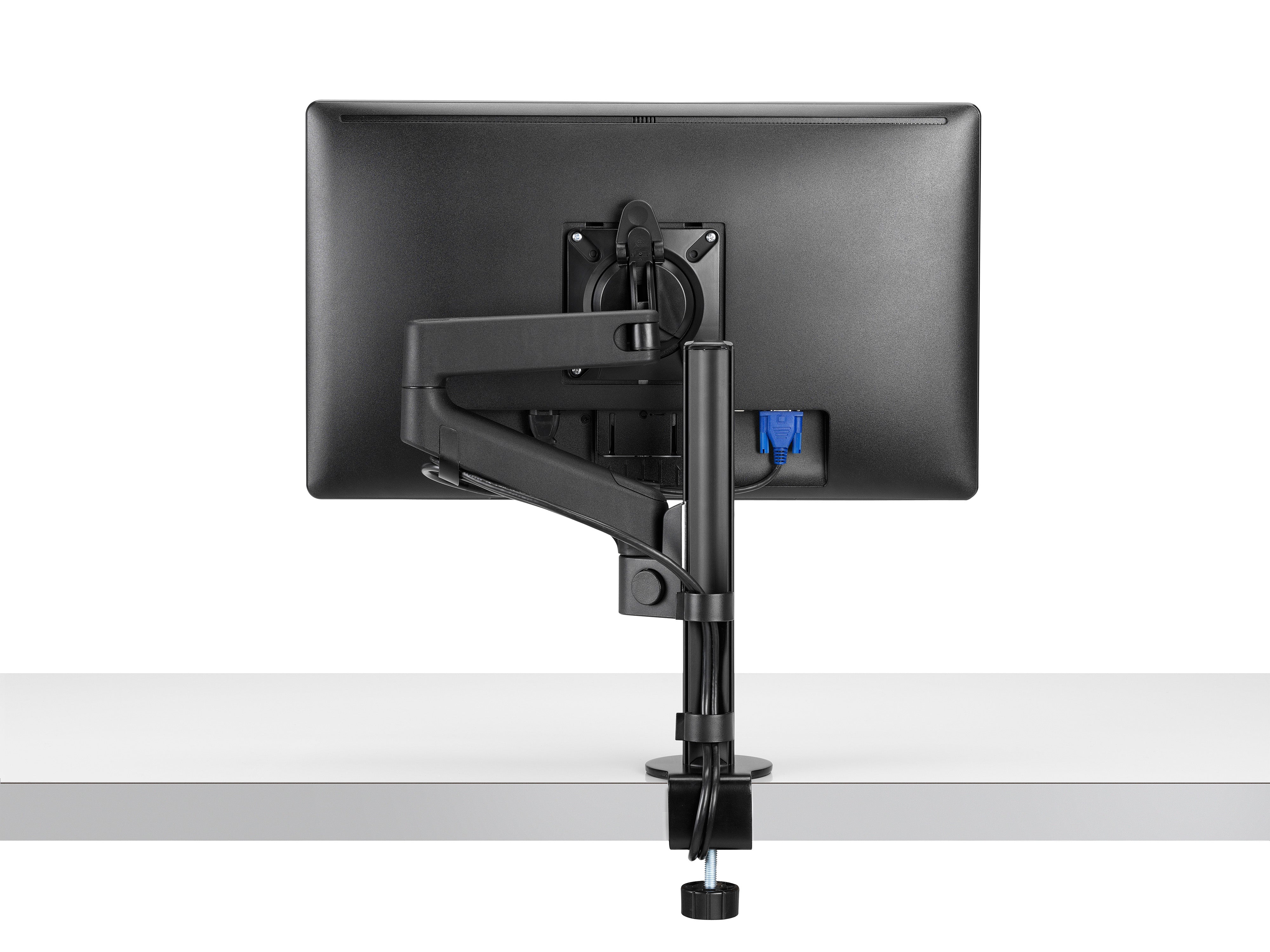 Coleston Brooke Saunders - Lima Monitor Arm (Single)